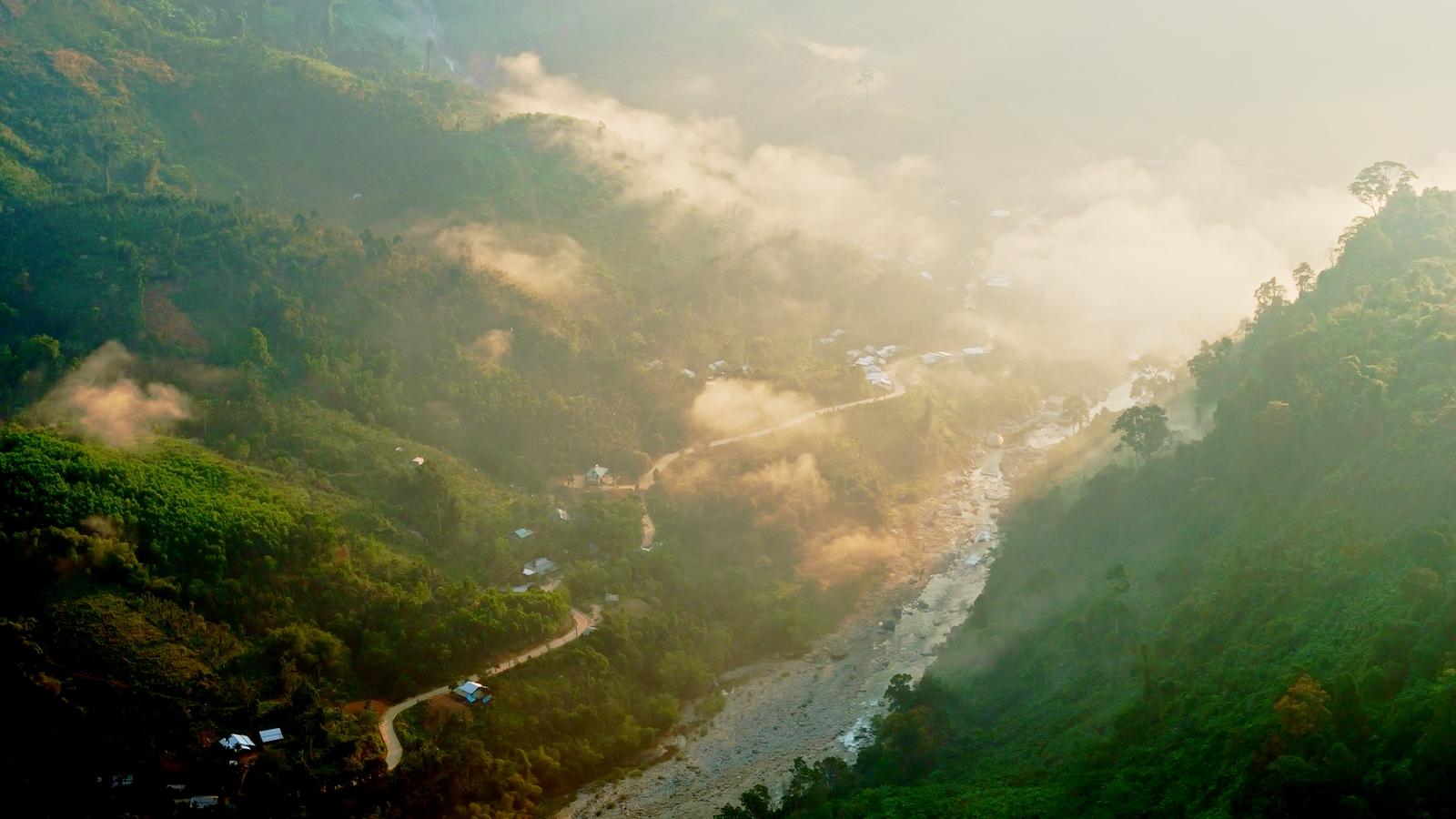 Cinnamon Harvest Season in Trà Leng — Da Nang (formerly Quảng Nam) (2)
